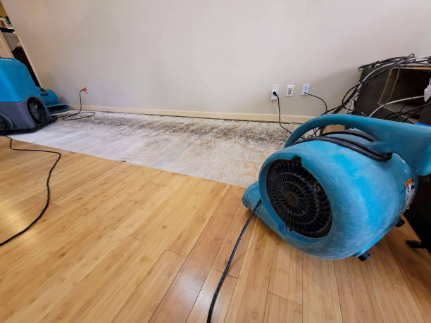Professional Flood Damage Cleanup technician working in Chappells, SC